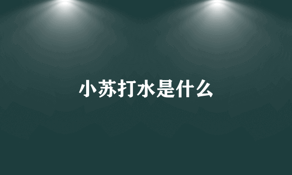 小苏打水是什么