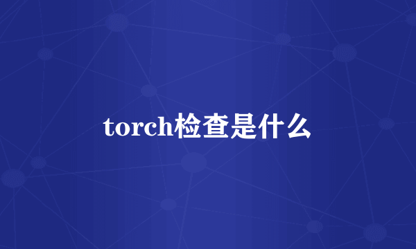 torch检查是什么