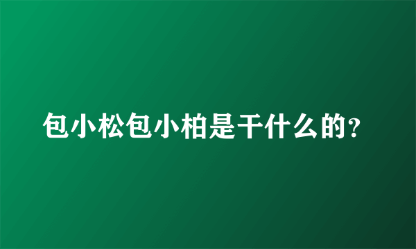 包小松包小柏是干什么的？