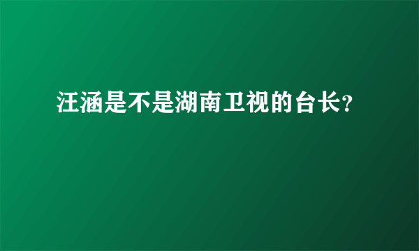 汪涵是不是湖南卫视的台长？