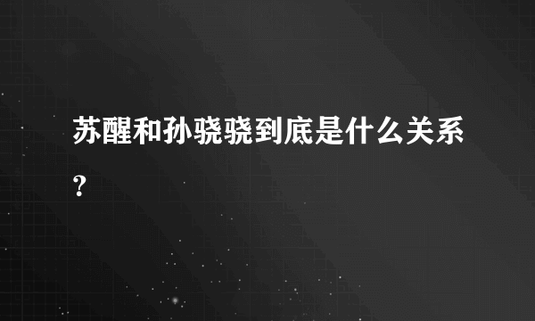 苏醒和孙骁骁到底是什么关系？