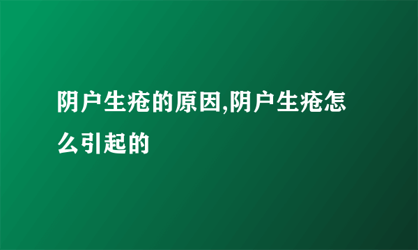 阴户生疮的原因,阴户生疮怎么引起的