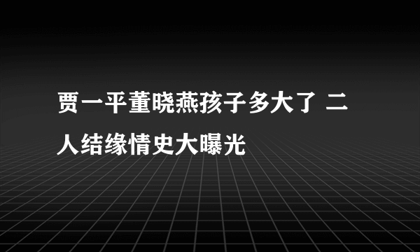 贾一平董晓燕孩子多大了 二人结缘情史大曝光