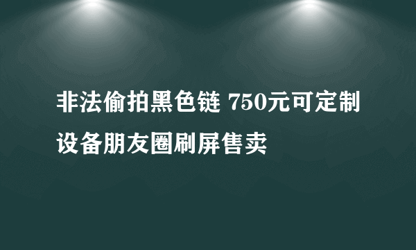 非法偷拍黑色链 750元可定制设备朋友圈刷屏售卖