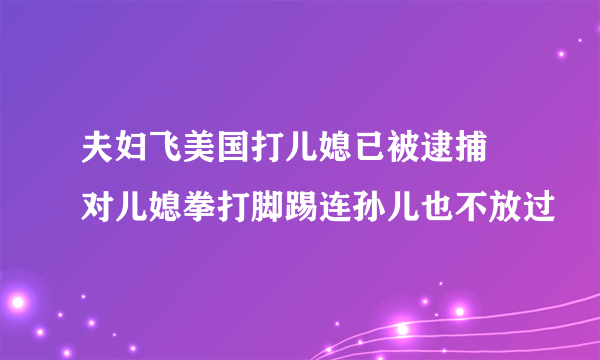 夫妇飞美国打儿媳已被逮捕  对儿媳拳打脚踢连孙儿也不放过