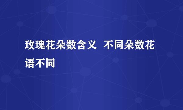 玫瑰花朵数含义  不同朵数花语不同