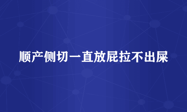 顺产侧切一直放屁拉不出屎