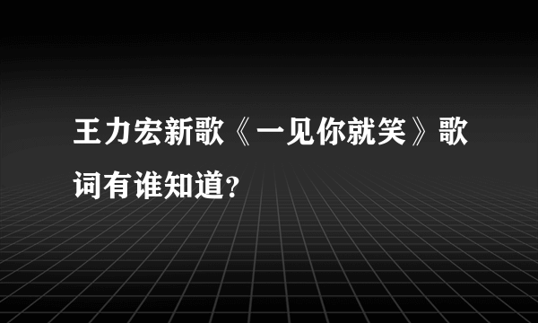 王力宏新歌《一见你就笑》歌词有谁知道？