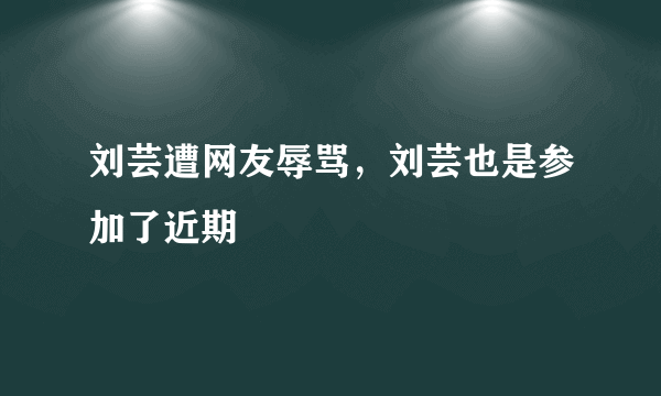 刘芸遭网友辱骂，刘芸也是参加了近期