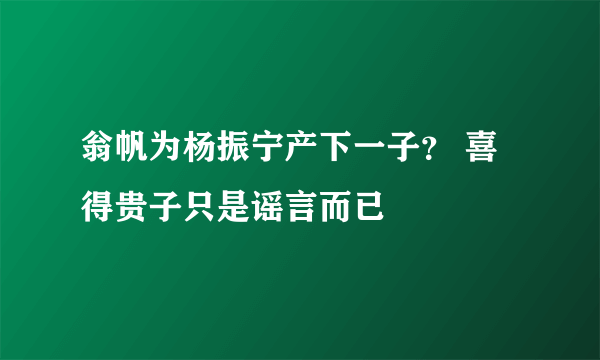 翁帆为杨振宁产下一子？ 喜得贵子只是谣言而已