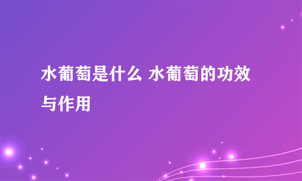 水葡萄是什么 水葡萄的功效与作用