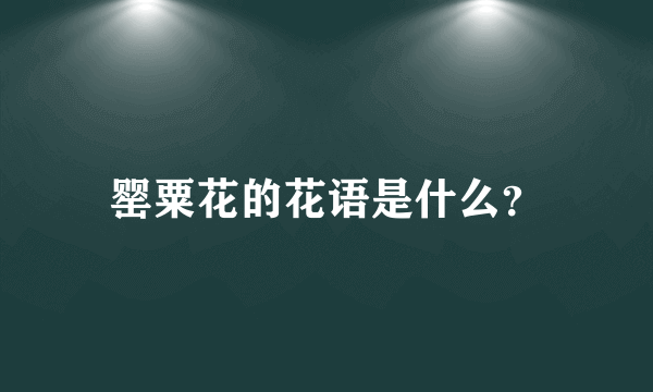 罂粟花的花语是什么？