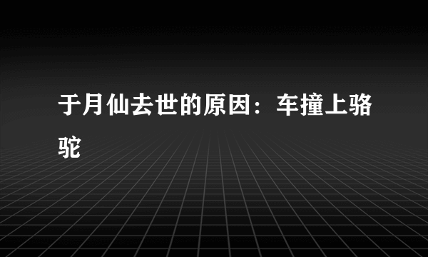 于月仙去世的原因：车撞上骆驼