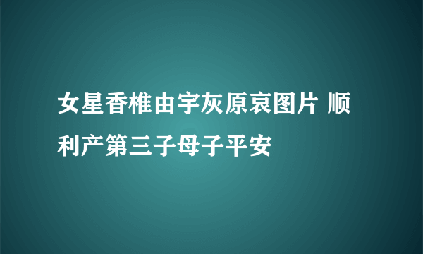 女星香椎由宇灰原哀图片 顺利产第三子母子平安