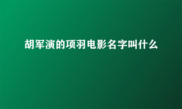 胡军演的项羽电影名字叫什么