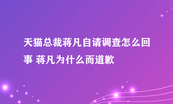 天猫总裁蒋凡自请调查怎么回事 蒋凡为什么而道歉