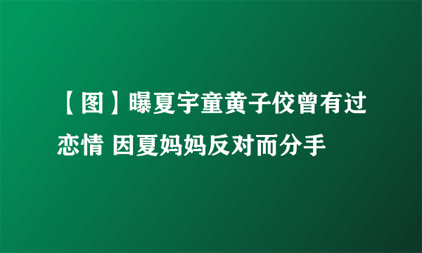 【图】曝夏宇童黄子佼曾有过恋情 因夏妈妈反对而分手