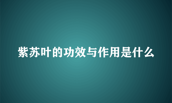 紫苏叶的功效与作用是什么