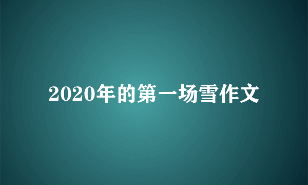 2020年的第一场雪作文