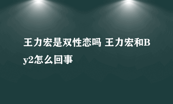 王力宏是双性恋吗 王力宏和By2怎么回事