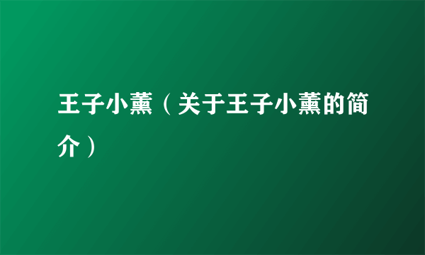 王子小薰（关于王子小薰的简介）