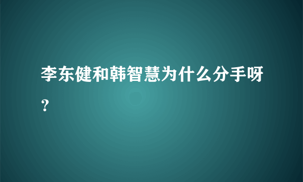 李东健和韩智慧为什么分手呀？