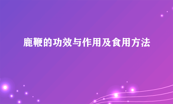 鹿鞭的功效与作用及食用方法