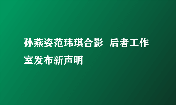 孙燕姿范玮琪合影  后者工作室发布新声明