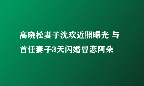 高晓松妻子沈欢近照曝光 与首任妻子3天闪婚曾恋阿朵