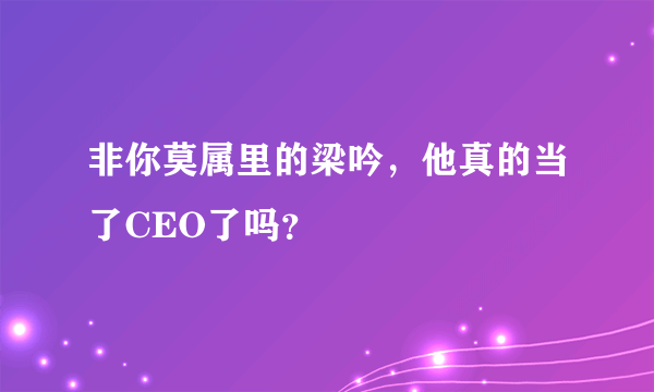 非你莫属里的梁吟，他真的当了CEO了吗？