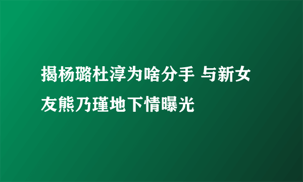 揭杨璐杜淳为啥分手 与新女友熊乃瑾地下情曝光