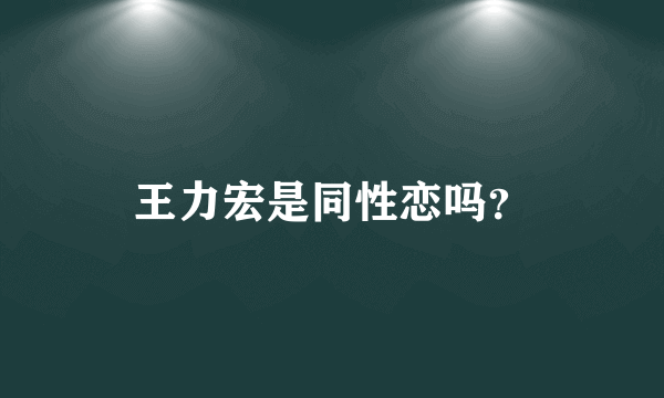 王力宏是同性恋吗？