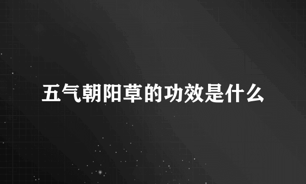 五气朝阳草的功效是什么