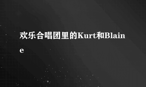 欢乐合唱团里的Kurt和Blaine