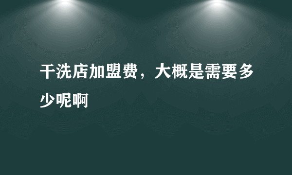 干洗店加盟费，大概是需要多少呢啊