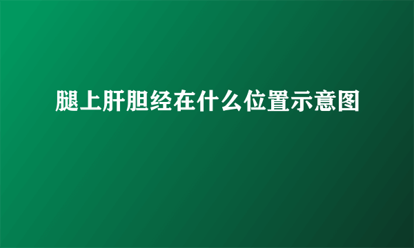 腿上肝胆经在什么位置示意图