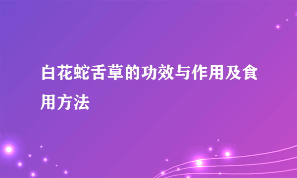 白花蛇舌草的功效与作用及食用方法