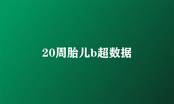 20周胎儿b超数据