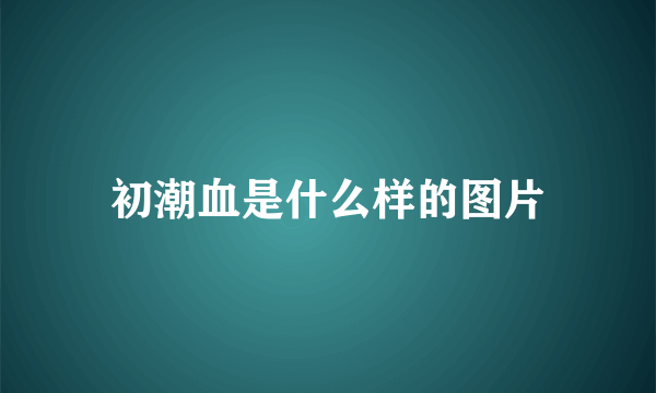 初潮血是什么样的图片