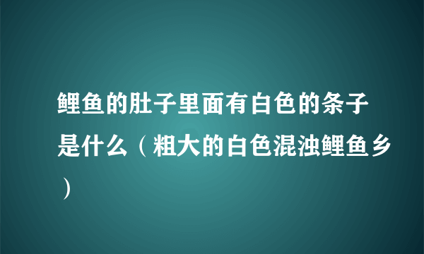 鲤鱼的肚子里面有白色的条子是什么（粗大的白色混浊鲤鱼乡）