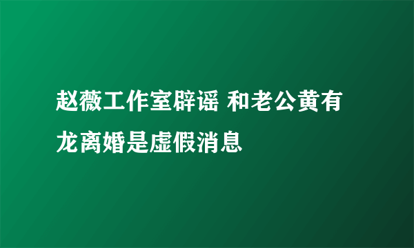 赵薇工作室辟谣 和老公黄有龙离婚是虚假消息