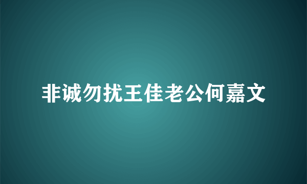 非诚勿扰王佳老公何嘉文