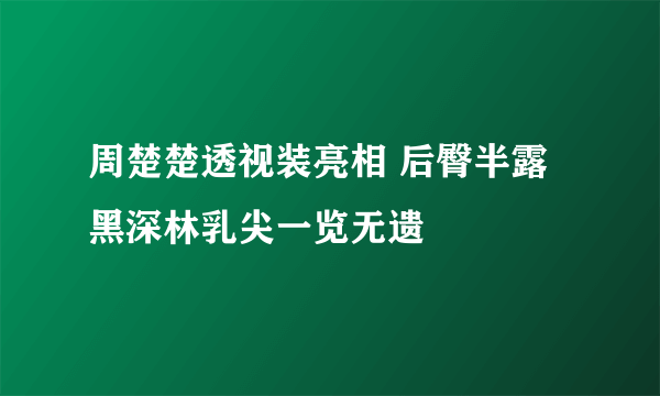 周楚楚透视装亮相 后臀半露黑深林乳尖一览无遗