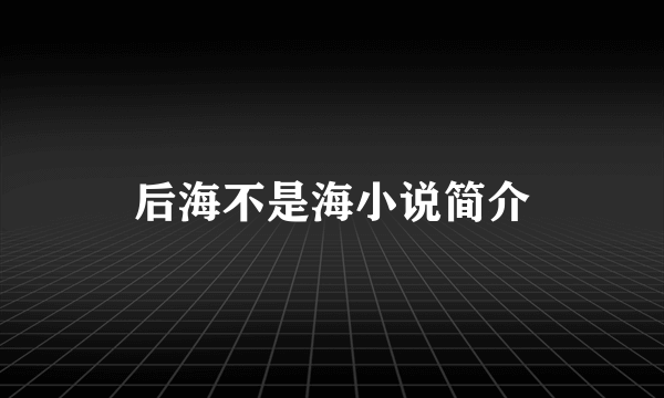 后海不是海小说简介