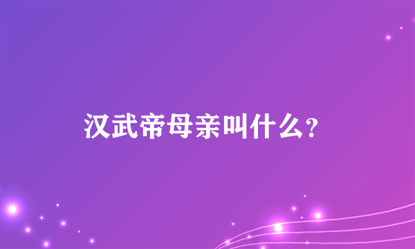 汉武帝母亲叫什么？