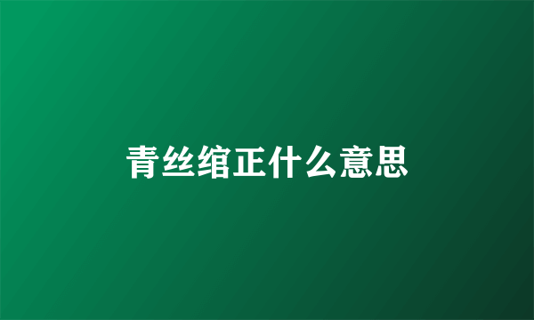 青丝绾正什么意思