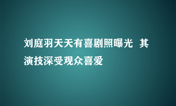 刘庭羽天天有喜剧照曝光  其演技深受观众喜爱