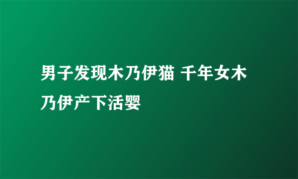 男子发现木乃伊猫 千年女木乃伊产下活婴