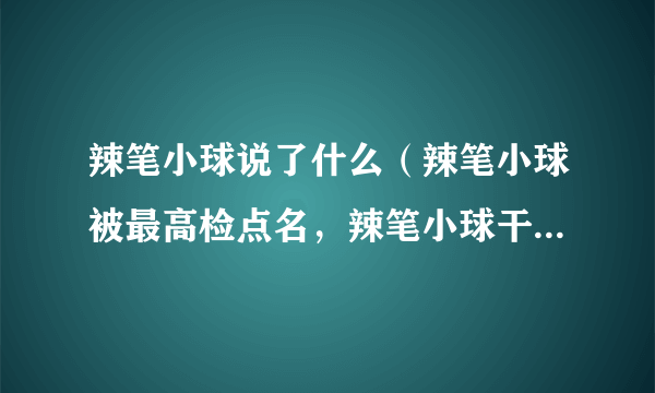 辣笔小球说了什么（辣笔小球被最高检点名，辣笔小球干啥了）百科