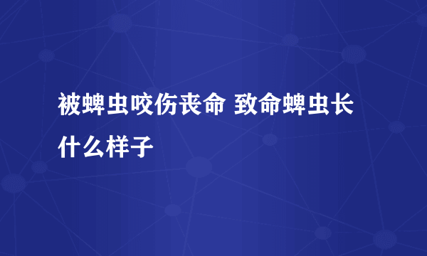 被蜱虫咬伤丧命 致命蜱虫长什么样子